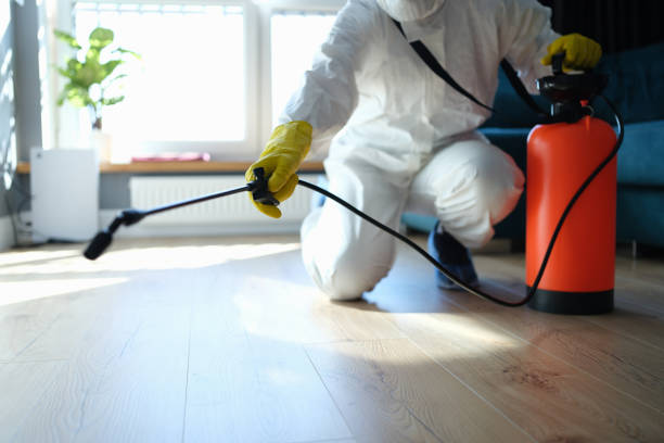 Trusted Sewage Cleanup service in Annandale, NJ - Four Month Blood Cleanse